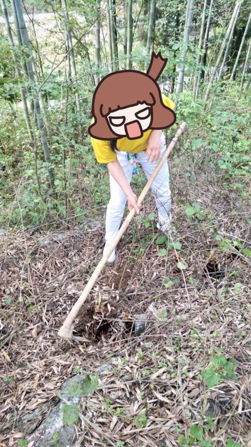 第一次挖笋