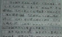 介绍电脑的说明文作文