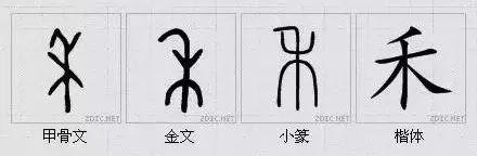汉字的根与汉字的灵魂