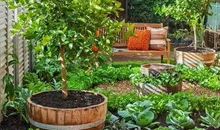 如果我有个园子