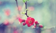 他们，温暖了我的岁月