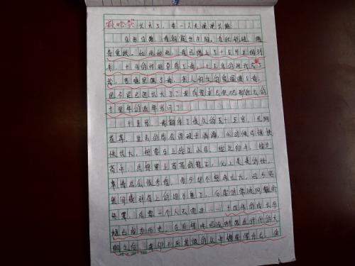 基于陪伴的800个字符的论文