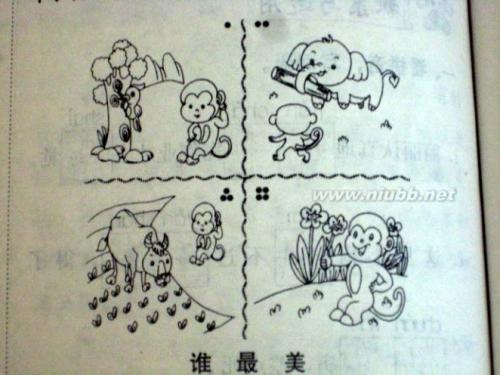 最美丽的照片
