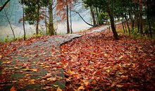 金辉撒满天，落日别样红