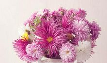 守住芬芳真不容易