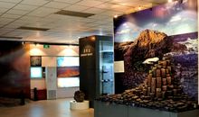 参观河北省博物馆