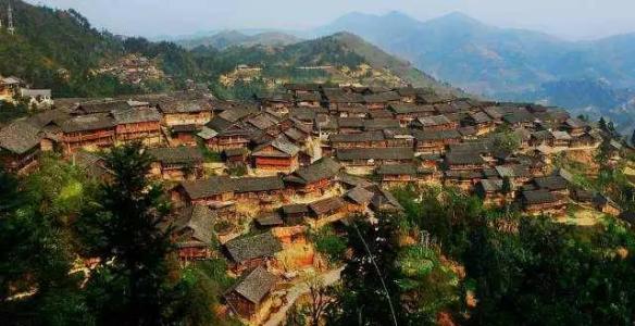 今年春天，松树和柏树屹立在群山之中
