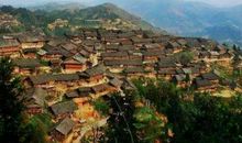 这年春天，棵棵松柏挺立山间