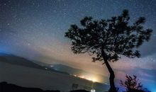 放学路上狂想曲