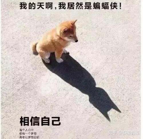 我在九年级时比较乐观