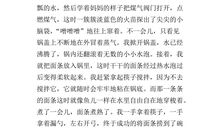介绍挂面的作文