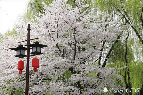 祖国最美丽的春天