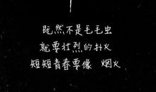 我还是我，不一样的烟火