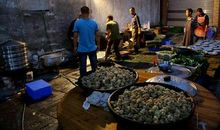 农村人和城里人