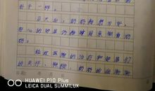 人间处处有关心