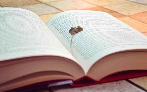 值得收藏的枕头