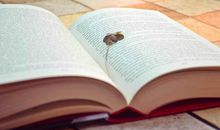 值得珍藏的枕头