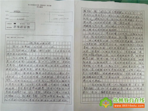 以主题为根的构图