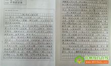 以扎根为题的作文