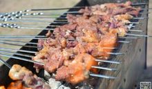 描写新疆的作文