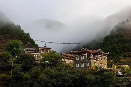 记忆中留下的疤痕