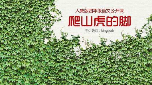 爬山虎的脚