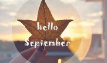 你好，我是纸团