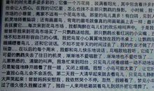 让人印象深刻的一个人作文