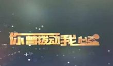 夏天拨动了我的心弦