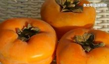 神奇的柿子泡水