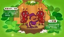 蚂蚁王国历险记