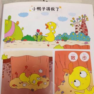 鸭子被保存