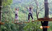 丛林穿越之寻找无人机