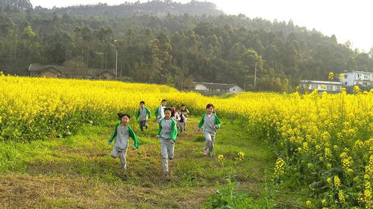 在田野上奔跑
