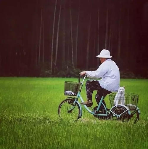 有你的爱真是太好了