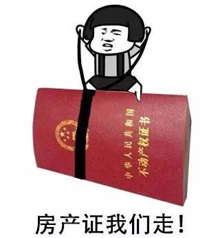 母爱隐藏在细节中