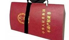 藏在细节里的母爱