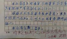小小动物园四年级作文450字