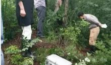 树林里的小发现