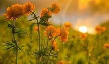 清晨的美好风景