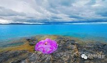 爱的风景永驻我心中