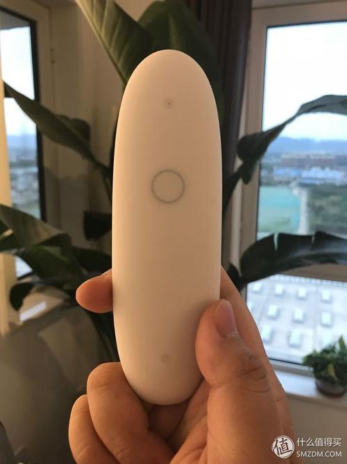 如果我有魔杖