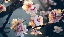 约客改写记叙文