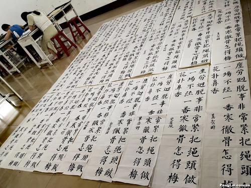 我擅长练习书法