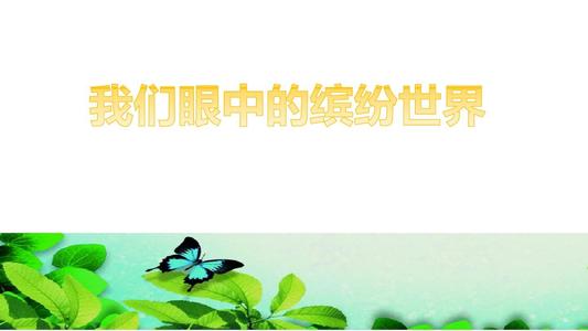我眼中的多彩世界
