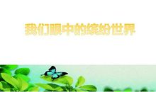 我眼中缤纷世界