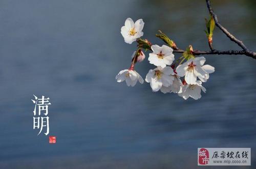 节气之美