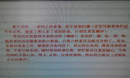夏季难忘的活动
