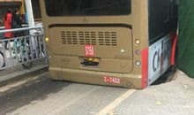 一路被坑，一路长大