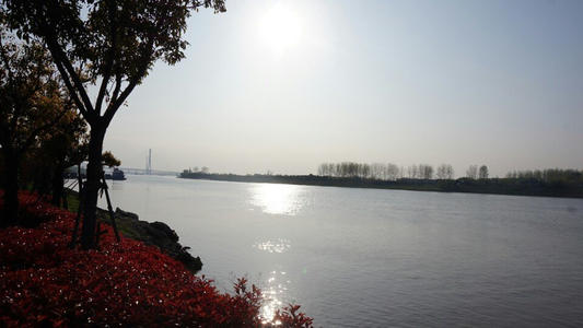 南京鱼嘴湿地公园游记